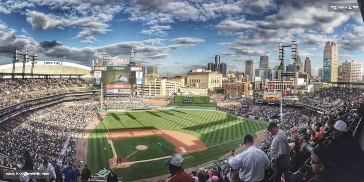 为什么选择我们